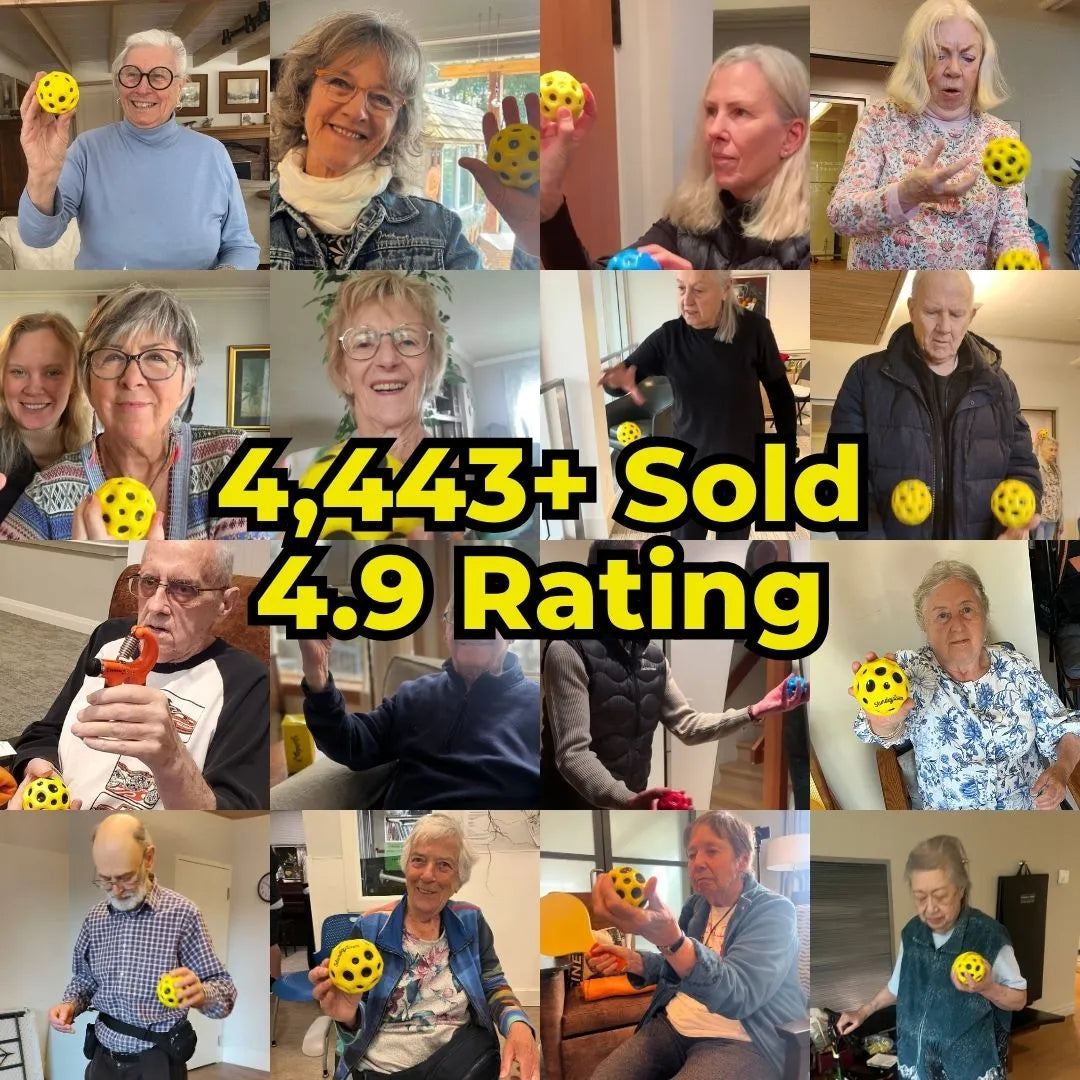 Deliver Sturdey's Brain & Balance Program For Falls Resiliency