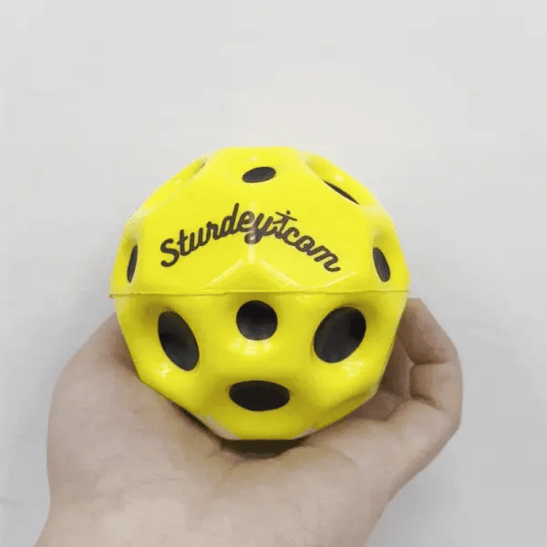 Sturdey Balance Ball Bundle