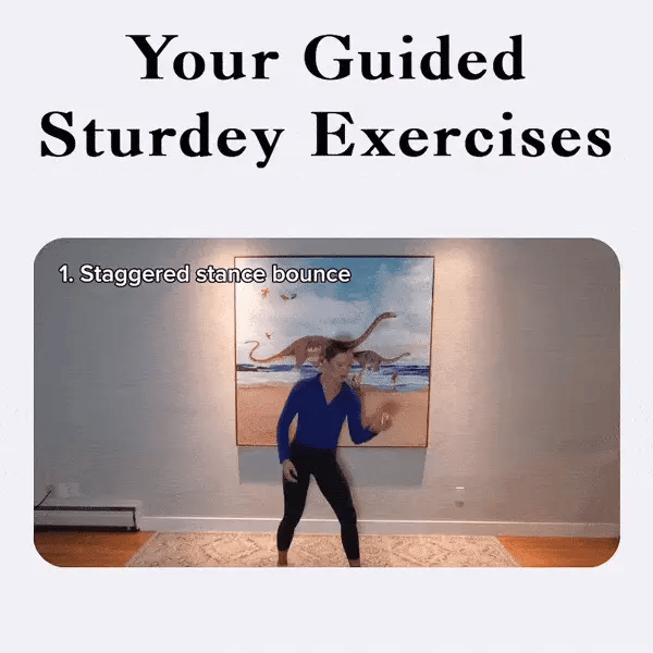 Sturdey Balance Ball Bundle