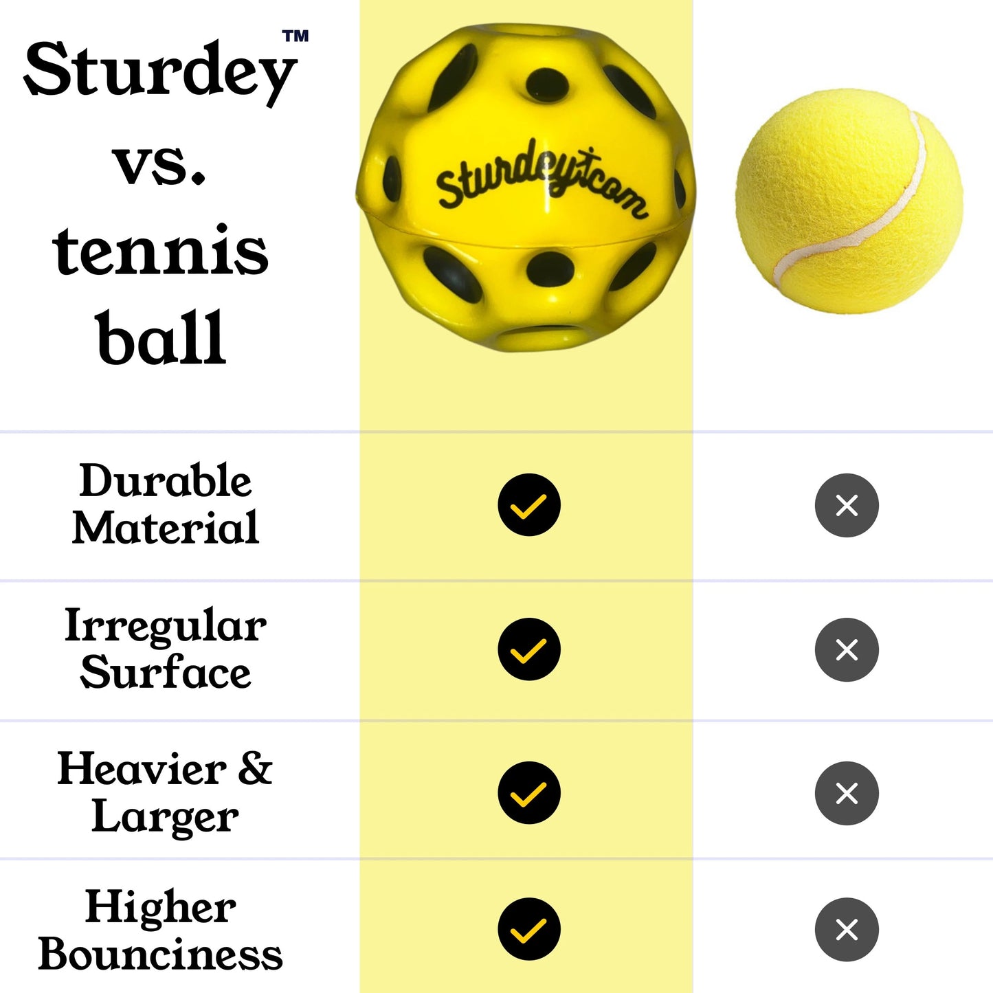Sturdey Balance Ball Bundle