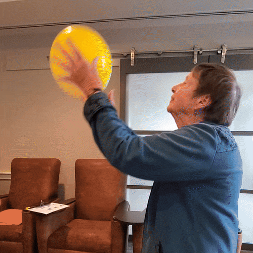 Volley Balance Balloons