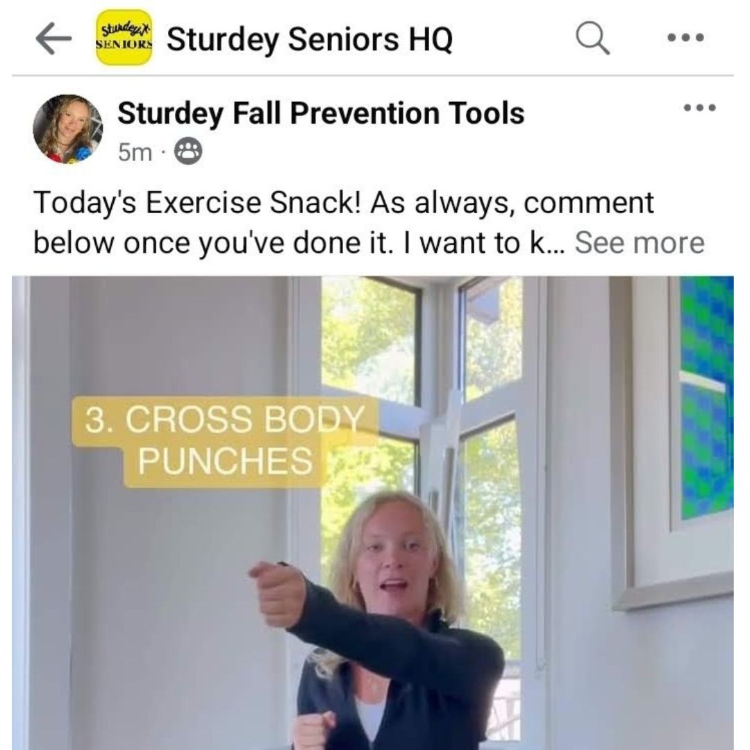 The Fall Prevention Coach's Daily Program & Community - Sturdey for Seniors senior balance training