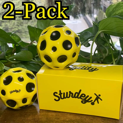 Sturdey Reaction Ball for Seniors (2-Pack)
