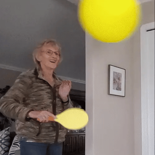 Strikeyball Paddle Game