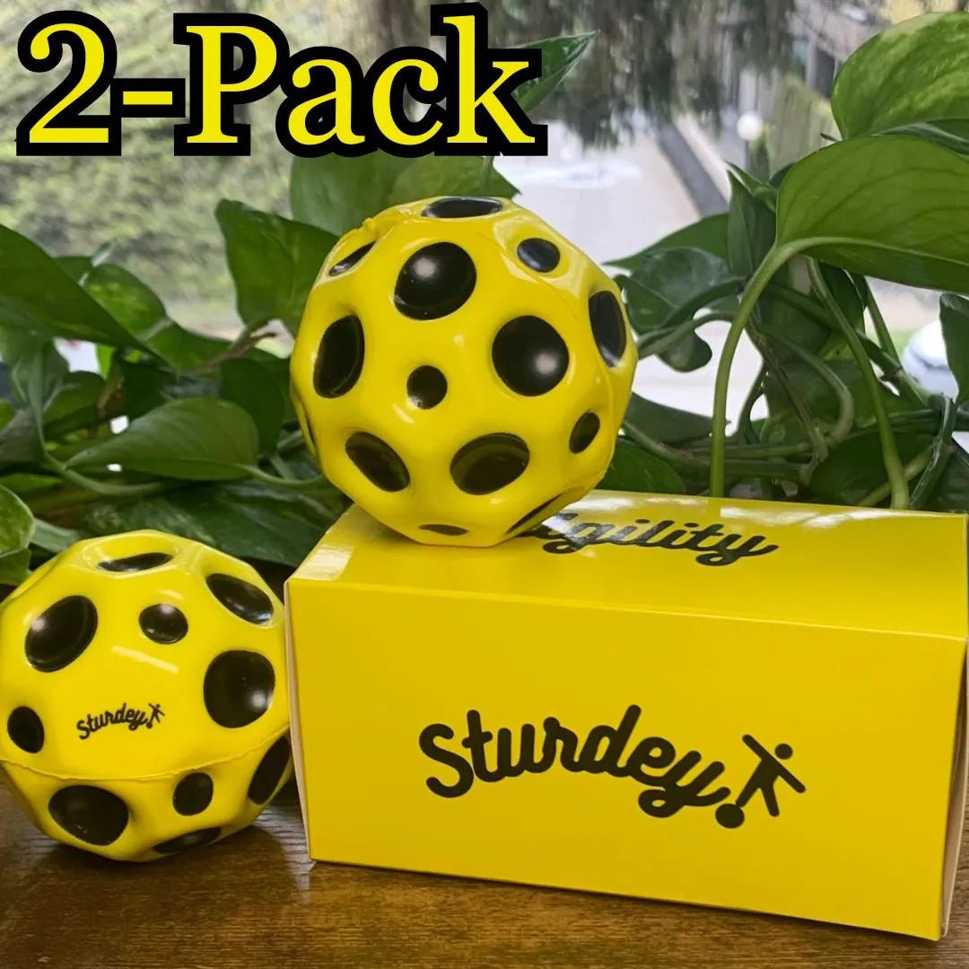 Sturdey Reaction Ball + Expert Guided Exercises - Sturdey for Seniors senior balance training